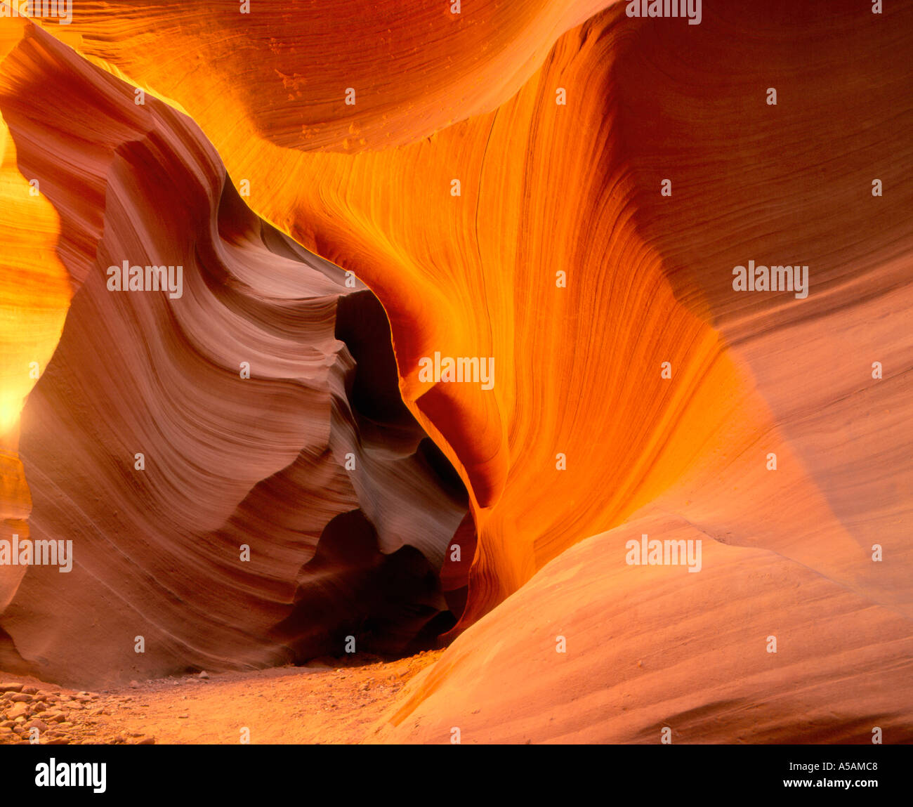 Formazione di arenaria abbassare Antelope Canyon Arizona U S A Foto Stock