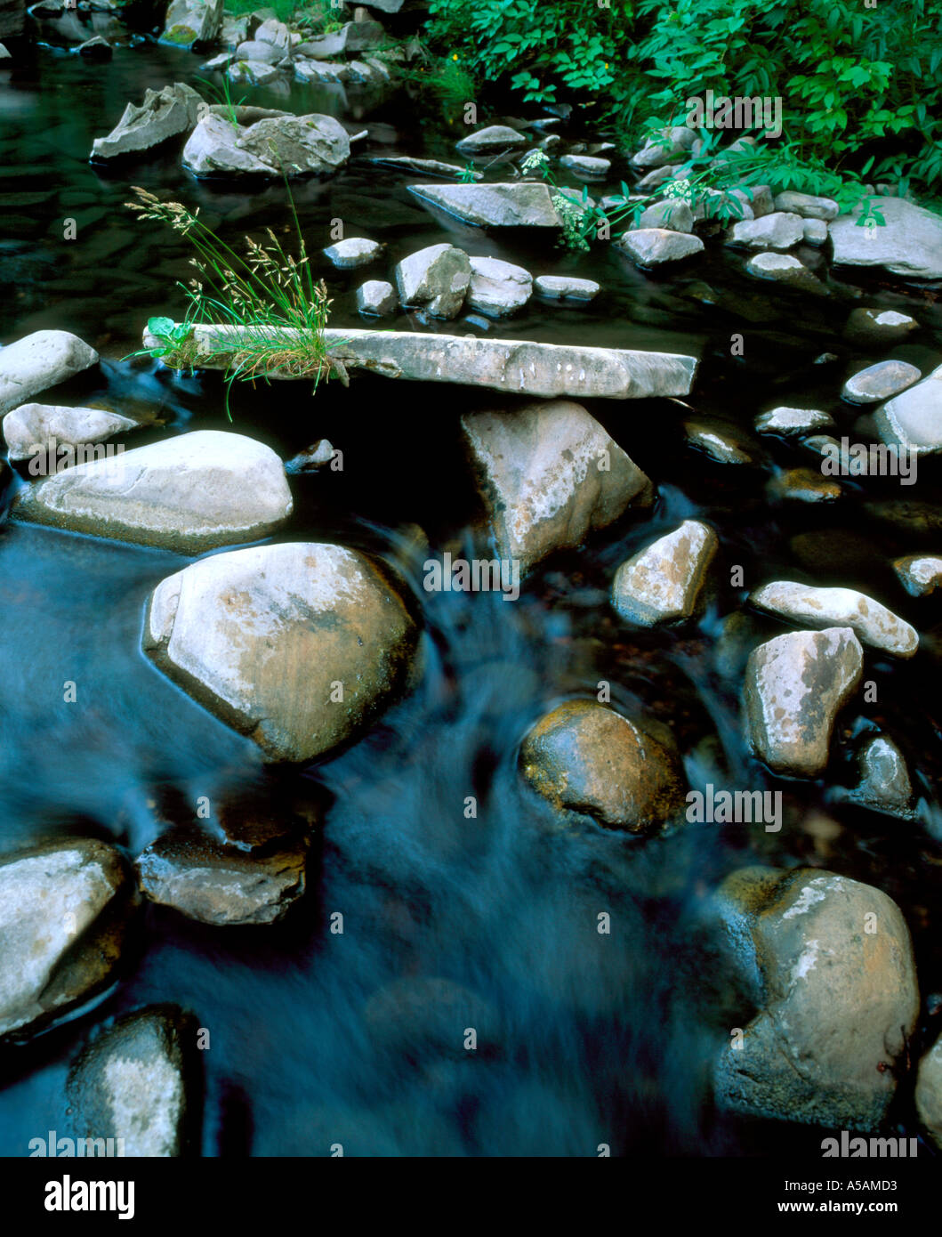 Rocce e acqua Dettagli West Clear Creek Arizona USA Foto Stock