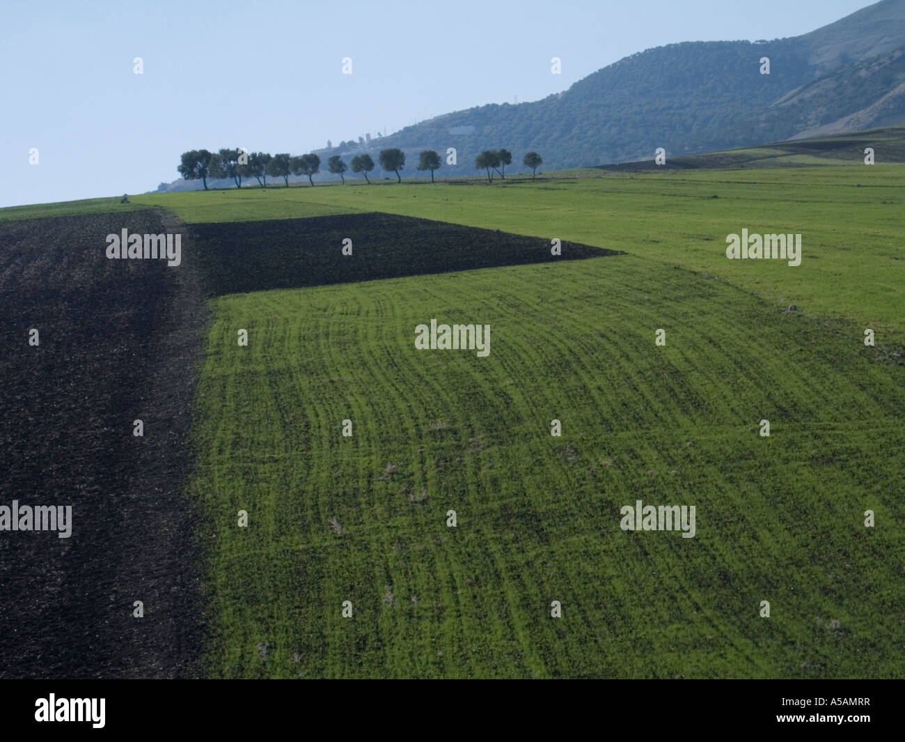 Campagna nei pressi di Meknes, Marocco Foto Stock