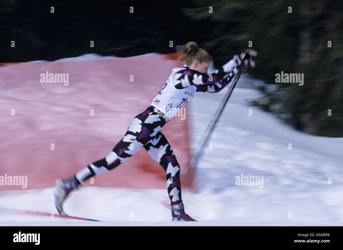 Cross country ski racing Pine Creek piste sciistiche Smithers Columbia britannica Foto Stock