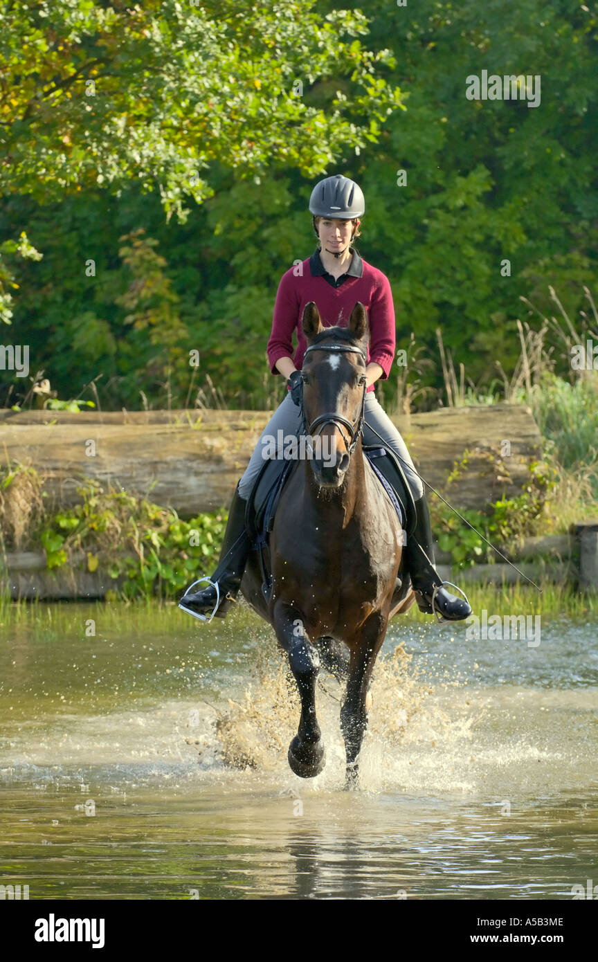 Signora giovane sul retro del suo tedesco equitazione attraverso l acqua Foto Stock