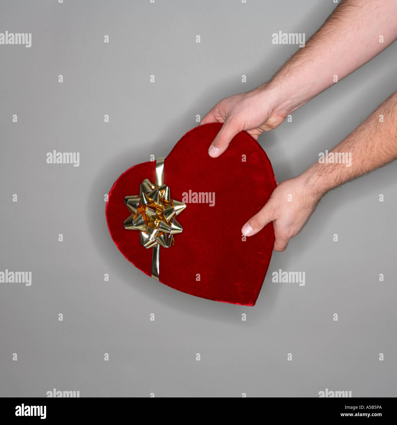 Dando il giorno di San Valentino dono Foto Stock