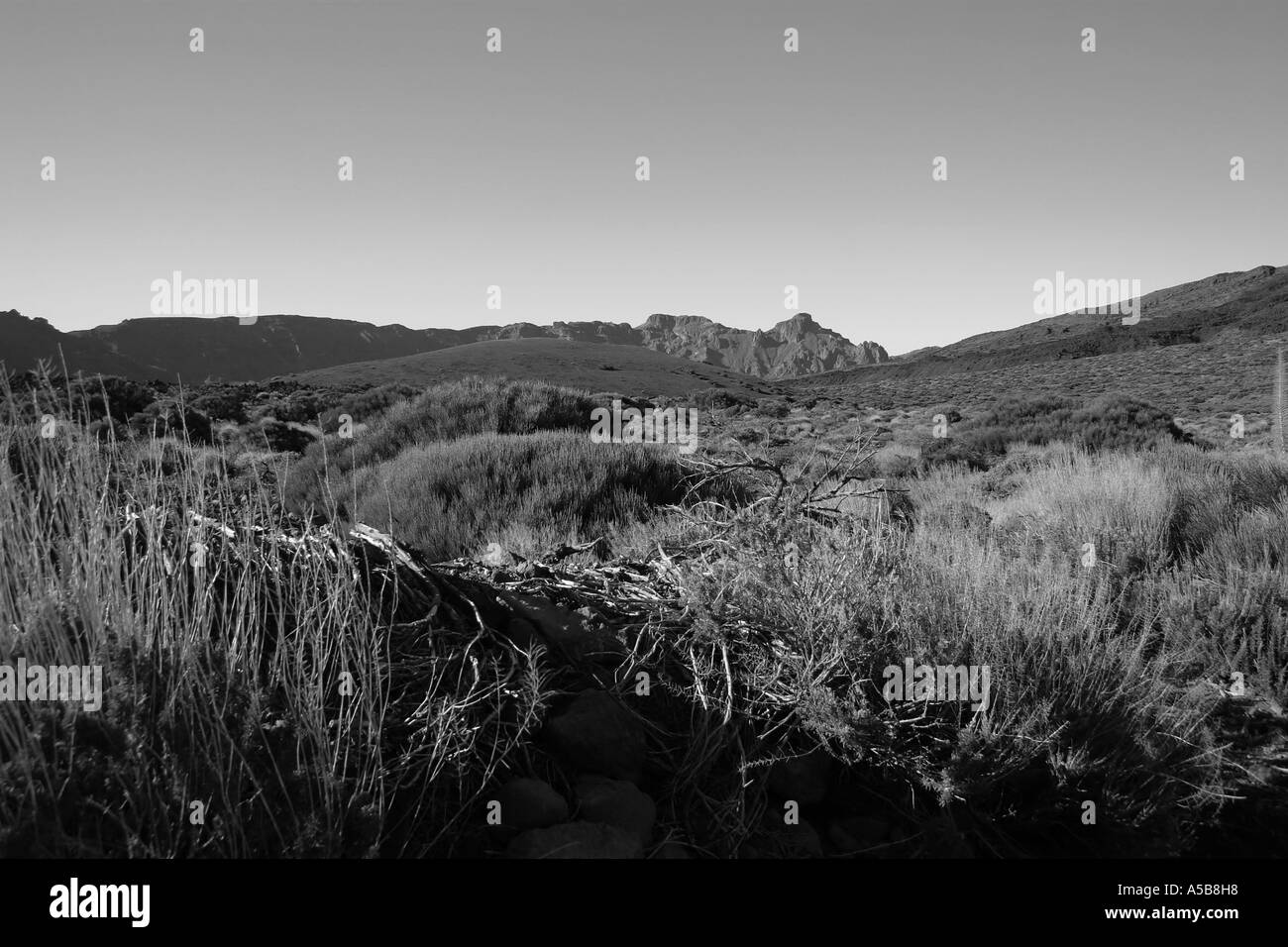 Le fotografie in bianco e nero presa di Las Canadas sulla sommità di Tenerife nelle isole Canarie Foto Stock