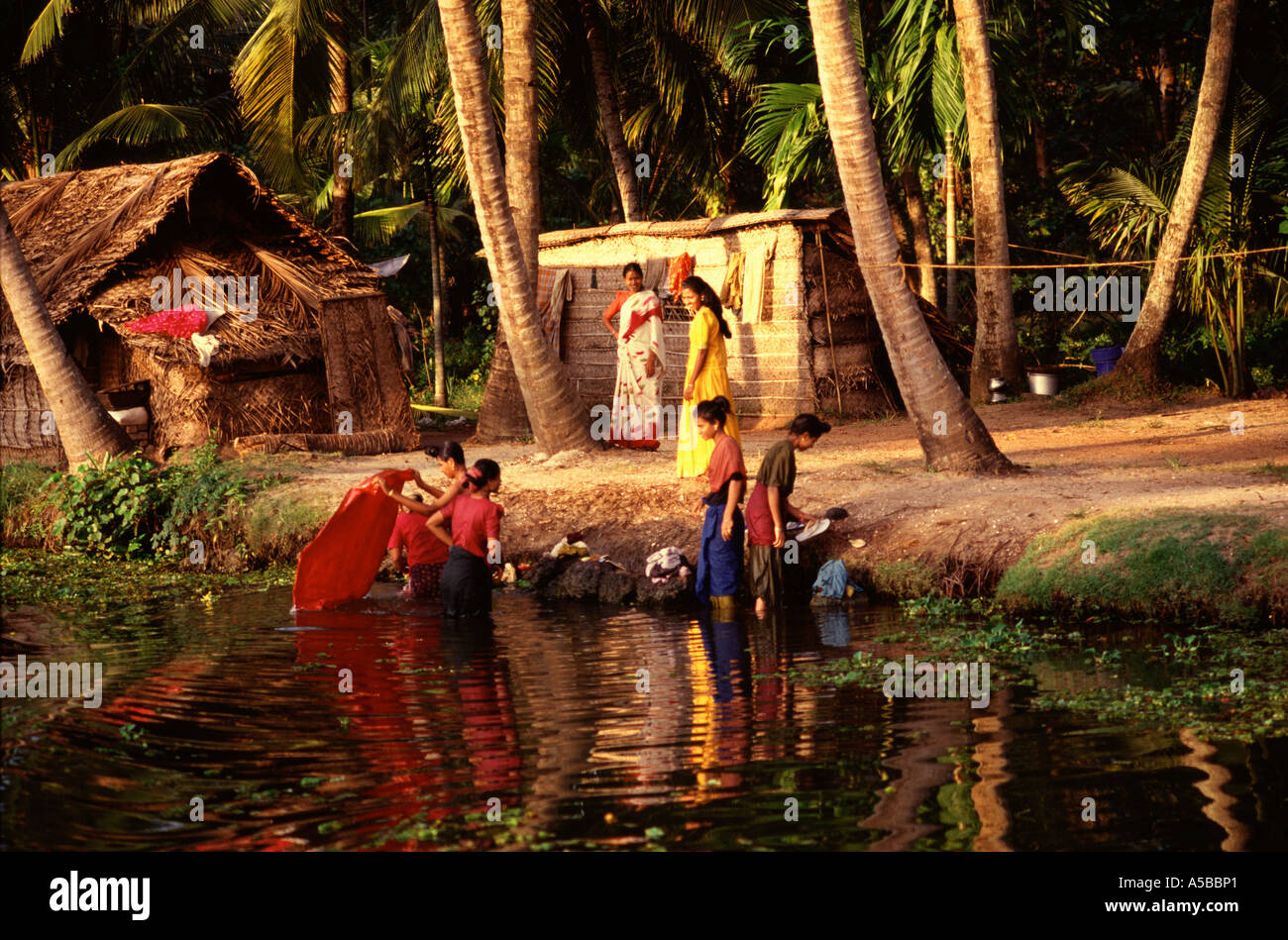 Le donne lavano il bucato alle acque posteriori del Kerala state South India Foto Stock