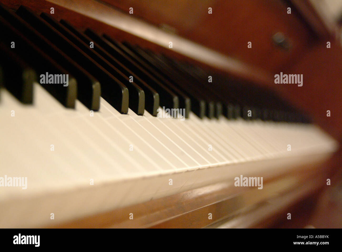 Vista dettagliata dei tasti di un pianoforte. Foto Stock