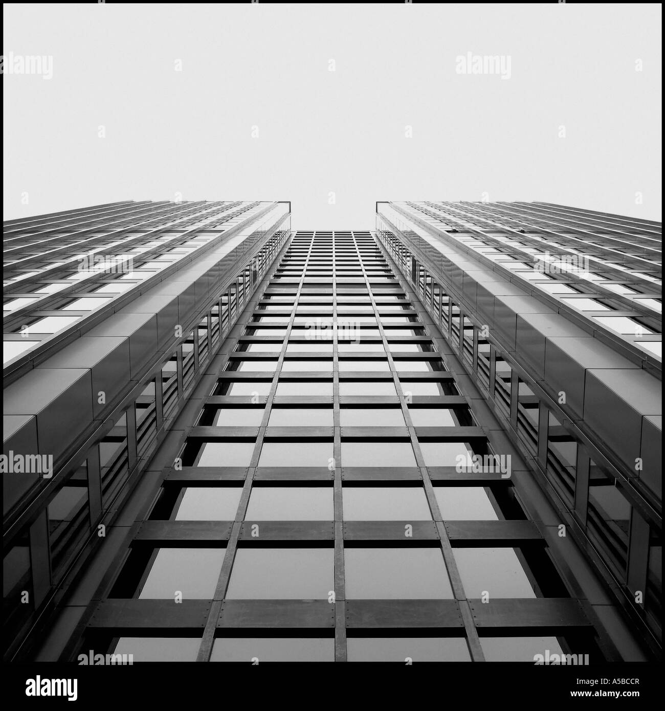 Convergenti linee in prospettiva di una torre di uffici. Foto Stock
