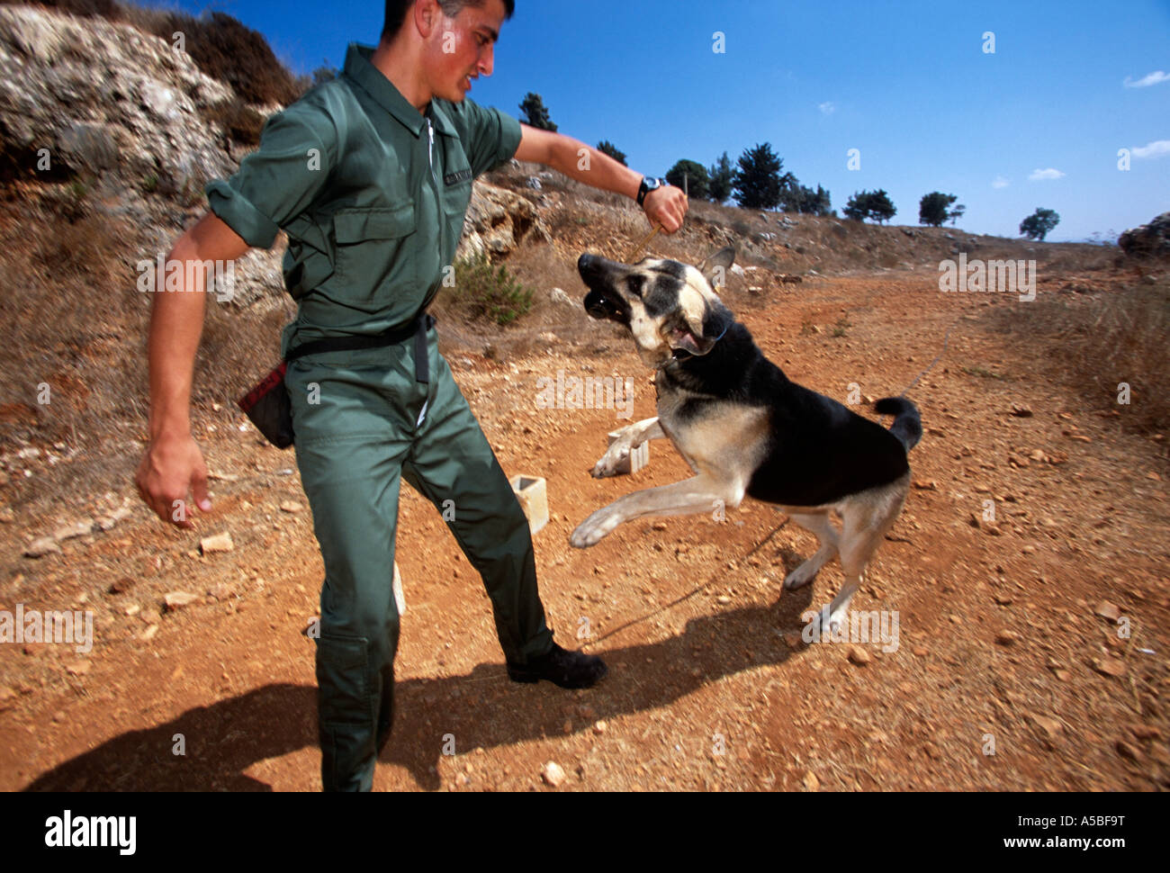 Un personale militare con il suo cane su una mina il funzionamento del Libano Foto Stock