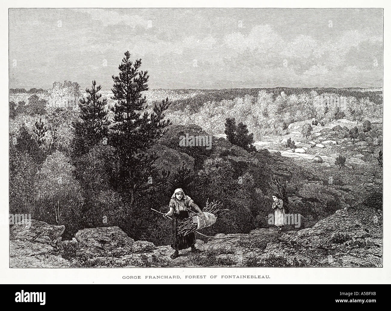 Franchard Fontainebleau Ile de France La foresta francese donna cestello di raccolta di legna da ardere contadina valle rock legname a piedi ramoscello di foraggio Foto Stock