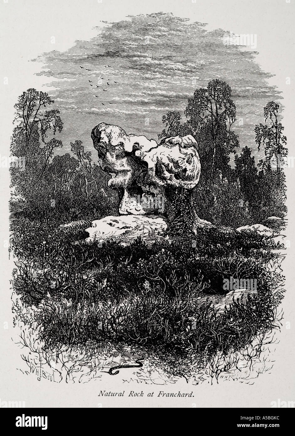 Franchard Fontainebleau Ile de France La foresta francese dell albero glade apertura nodose geologia caratteristica irregolare weathered eroso hea Foto Stock