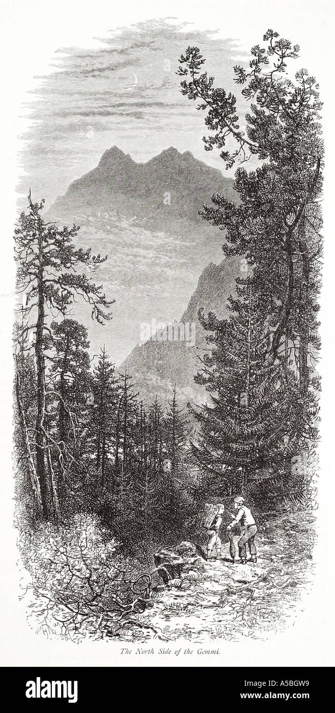 Leukerbad Swiss Pass Svizzera alp alpini a valle vista montagna foresta glaciale percorso di legno via picco distante uomo albero Foto Stock