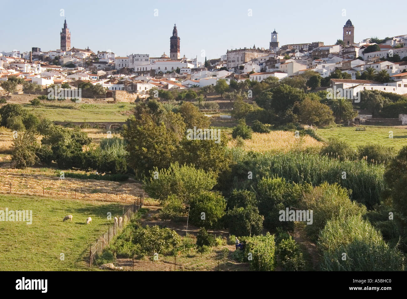 Jerez de los Caballeros, provincia di Badajoz, Spagna Foto Stock