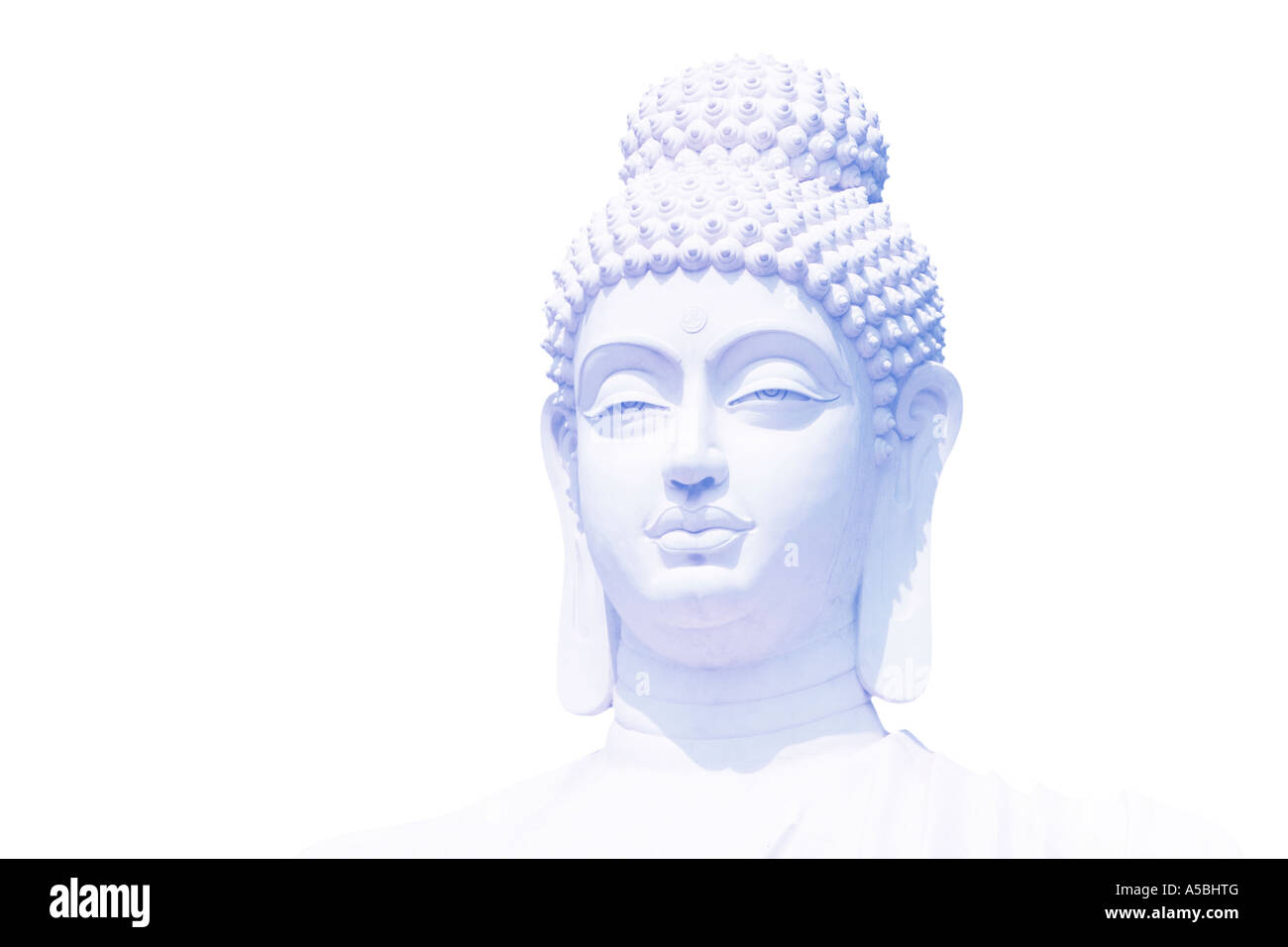 Luce blu TESTA DEL BUDDA su sfondo bianco Foto Stock