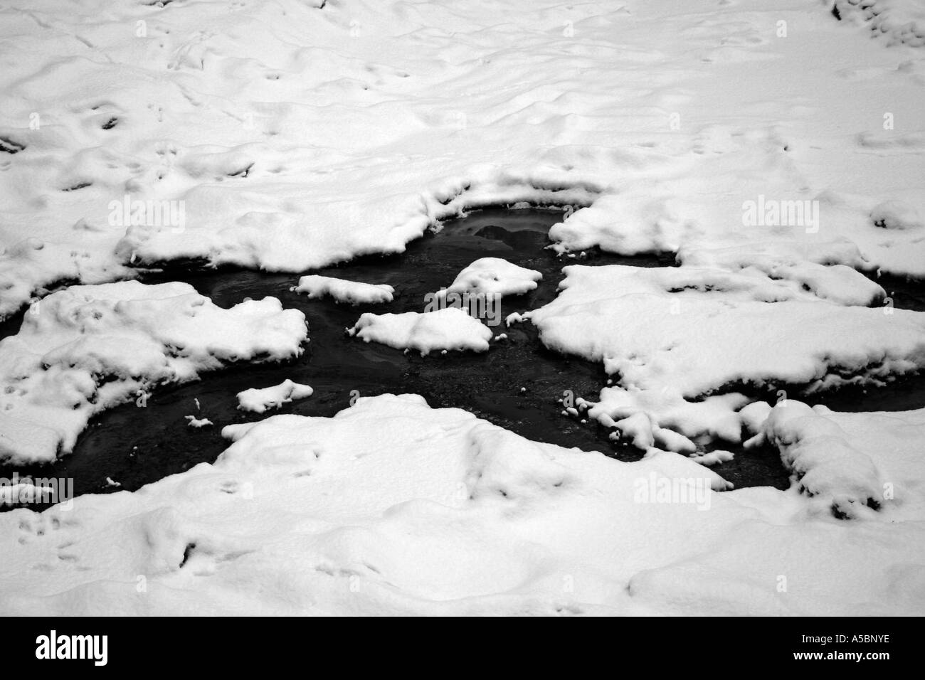 In inverno la foresta e il fiume Foto Stock