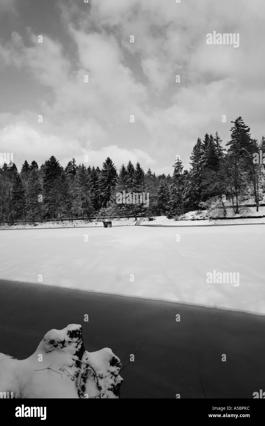 In inverno la foresta e il lago Foto Stock