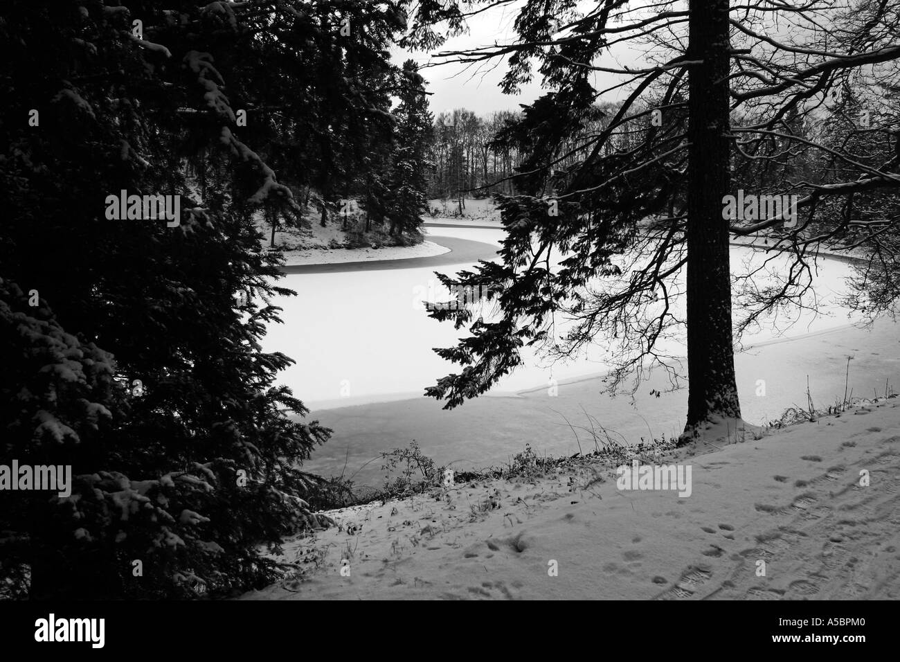 In inverno la foresta e il lago Foto Stock