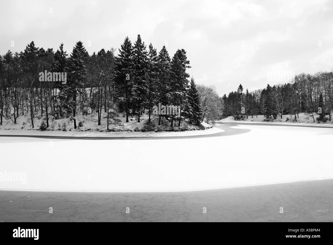 In inverno la foresta e il lago Foto Stock