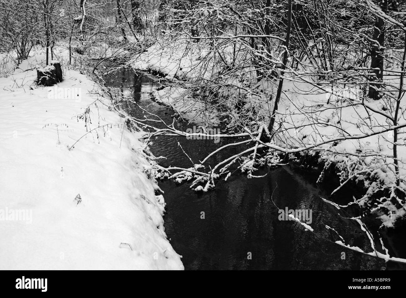 Fiume nella foresta di inverno Foto Stock
