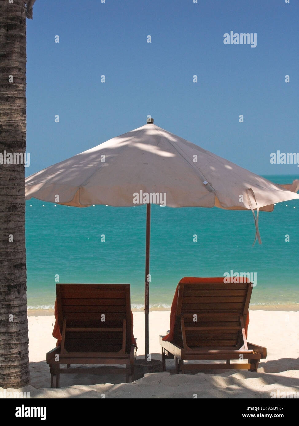 Resort ombrello due sedie a sdraio sabbia bianca Spiaggia Bo Phut Ko Samui Thailandia Foto Stock