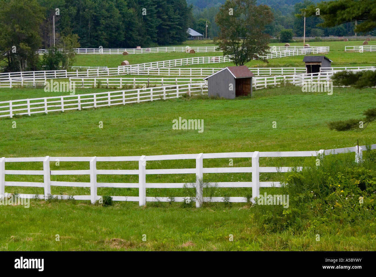 Recinzione bianco in esecuzione attraverso un campo di verde su un agriturismo nelle zone rurali del nord-est USA Foto Stock