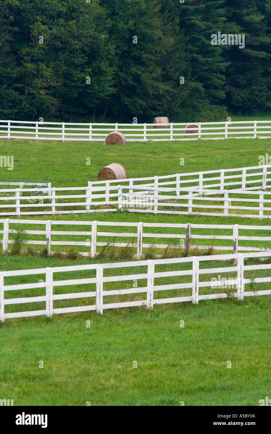 Recinzione bianco in esecuzione attraverso un campo di verde su un agriturismo nelle zone rurali del nord-est USA Foto Stock