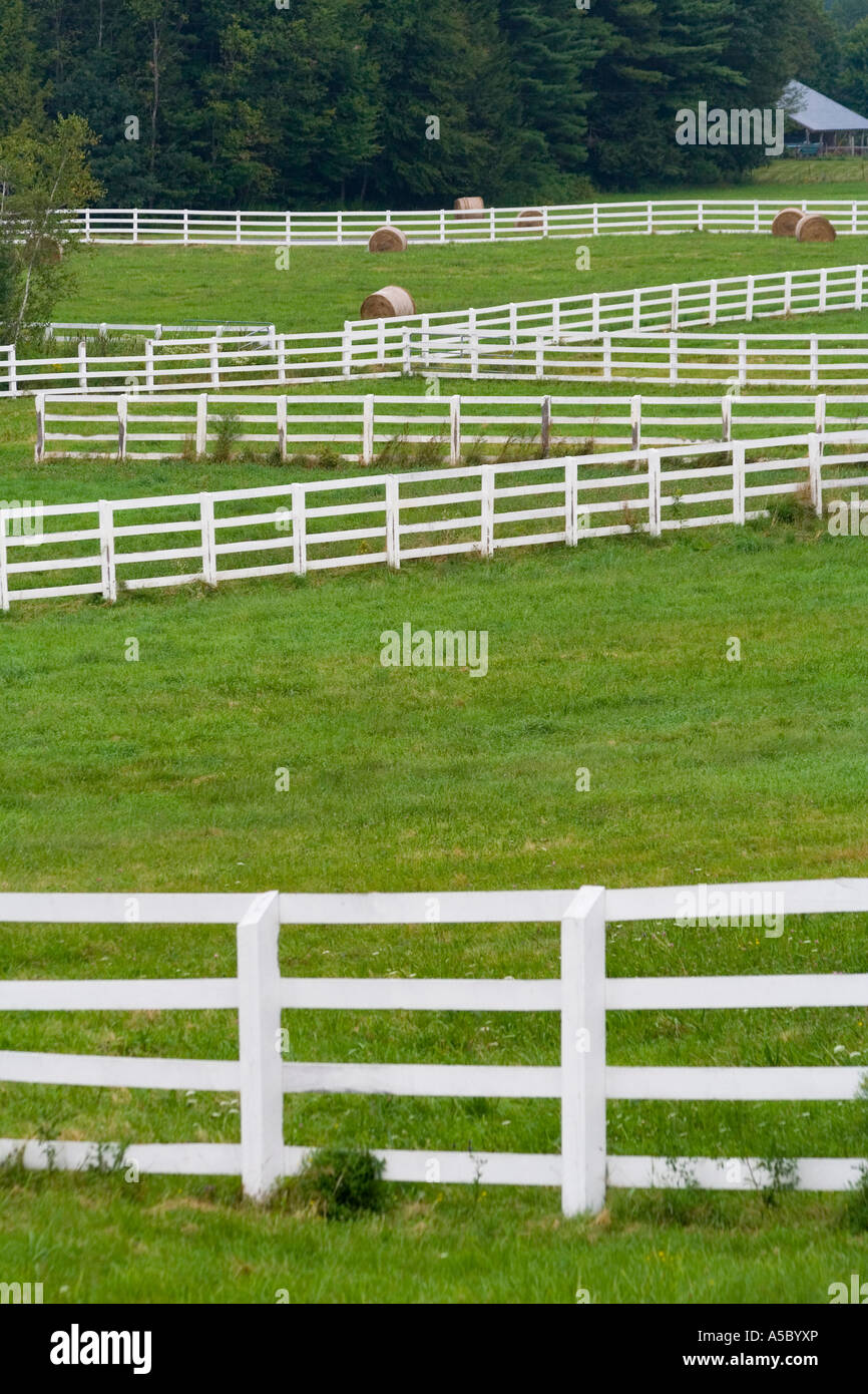 Recinzione bianco in esecuzione attraverso un campo di verde su un agriturismo nelle zone rurali del nord-est USA Foto Stock