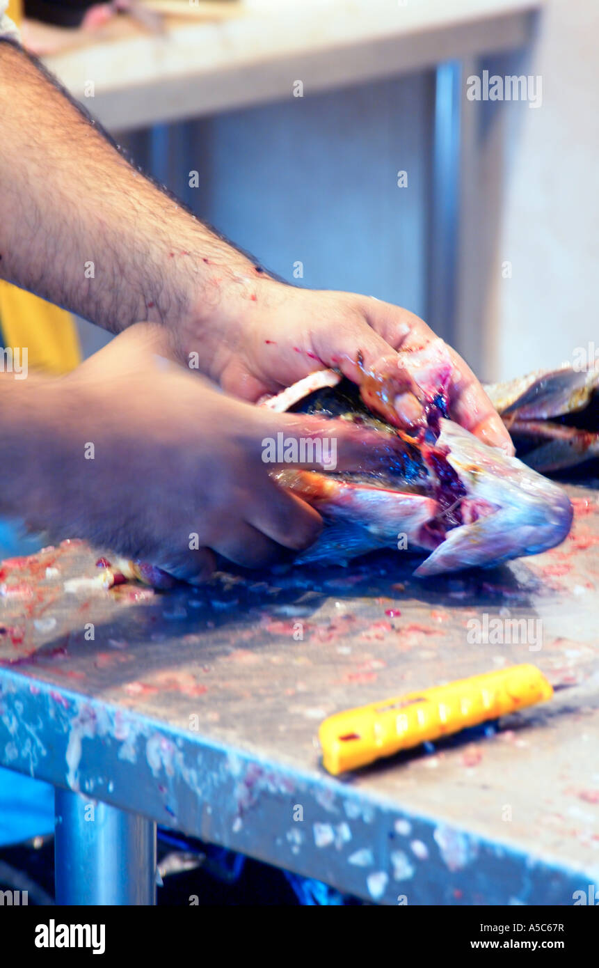 Rimozione e pulizia de sbudellare un pesce fresco presso un venditore di pesce Jaffa Israele Febbraio 2007 Foto Stock