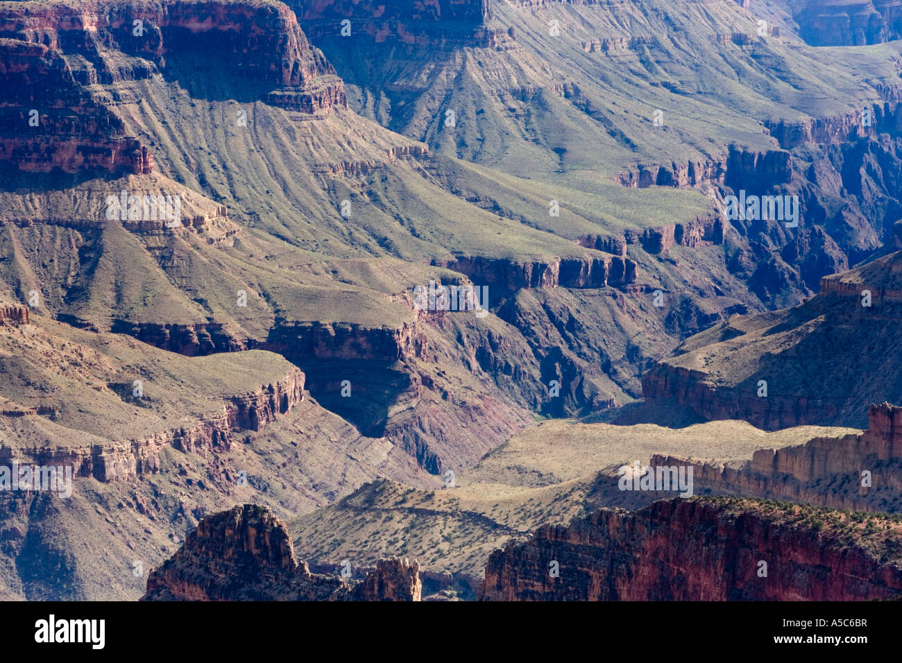 Vista dal North Rim del Grand Canyon, Arizona Foto Stock
