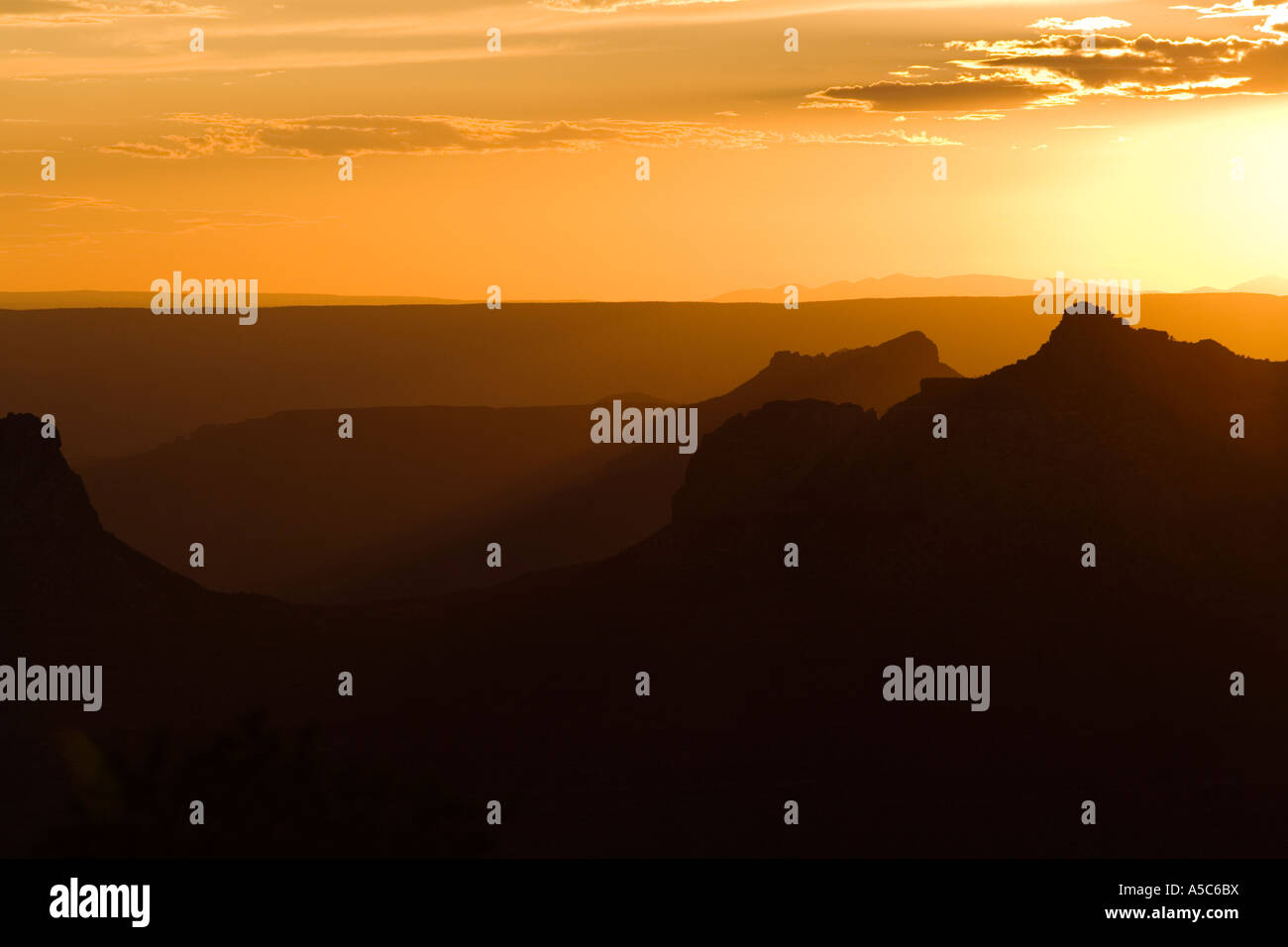 Tramonto Dorato a North Rim del Grand Canyon, Arizona Foto Stock