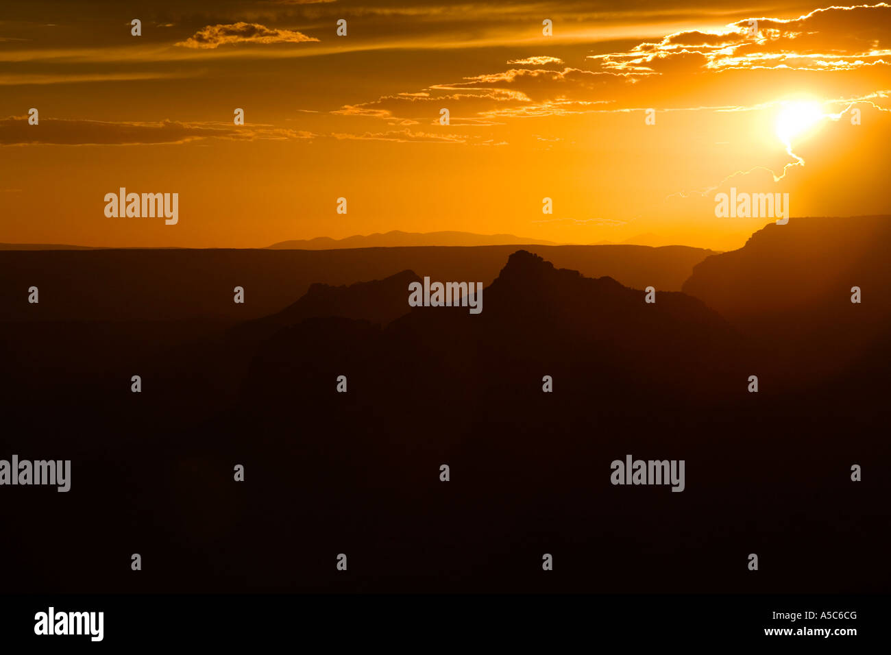 Tramonto Dorato a North Rim del Grand Canyon, Arizona Foto Stock