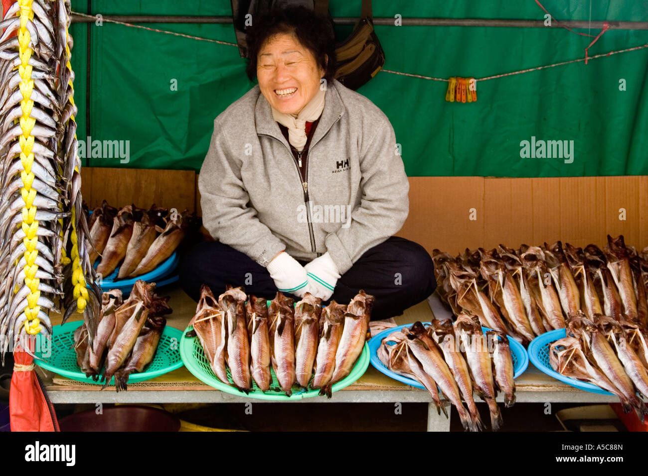 Le donne vendono pesci secchi di Sokcho Corea del Sud Foto Stock