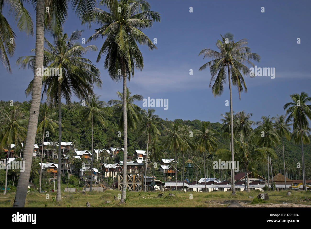 Ricostruzione dietro Ao Lo Dalam spiaggia devastata da tsunami Phi Phi Island Thailandia Foto Stock
