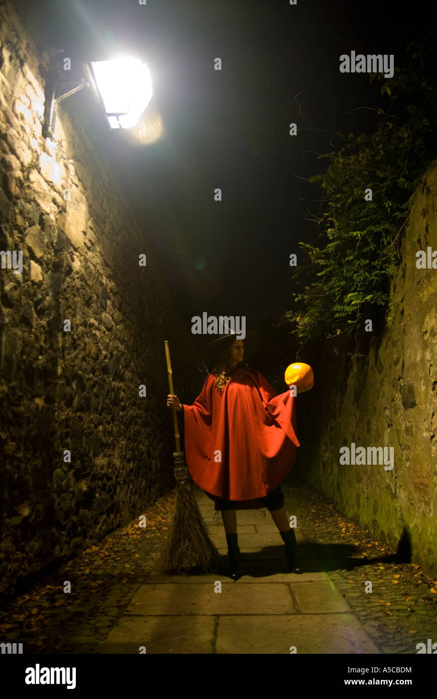 Giovane donna vestita come una strega tenendo un pumking Foto Stock