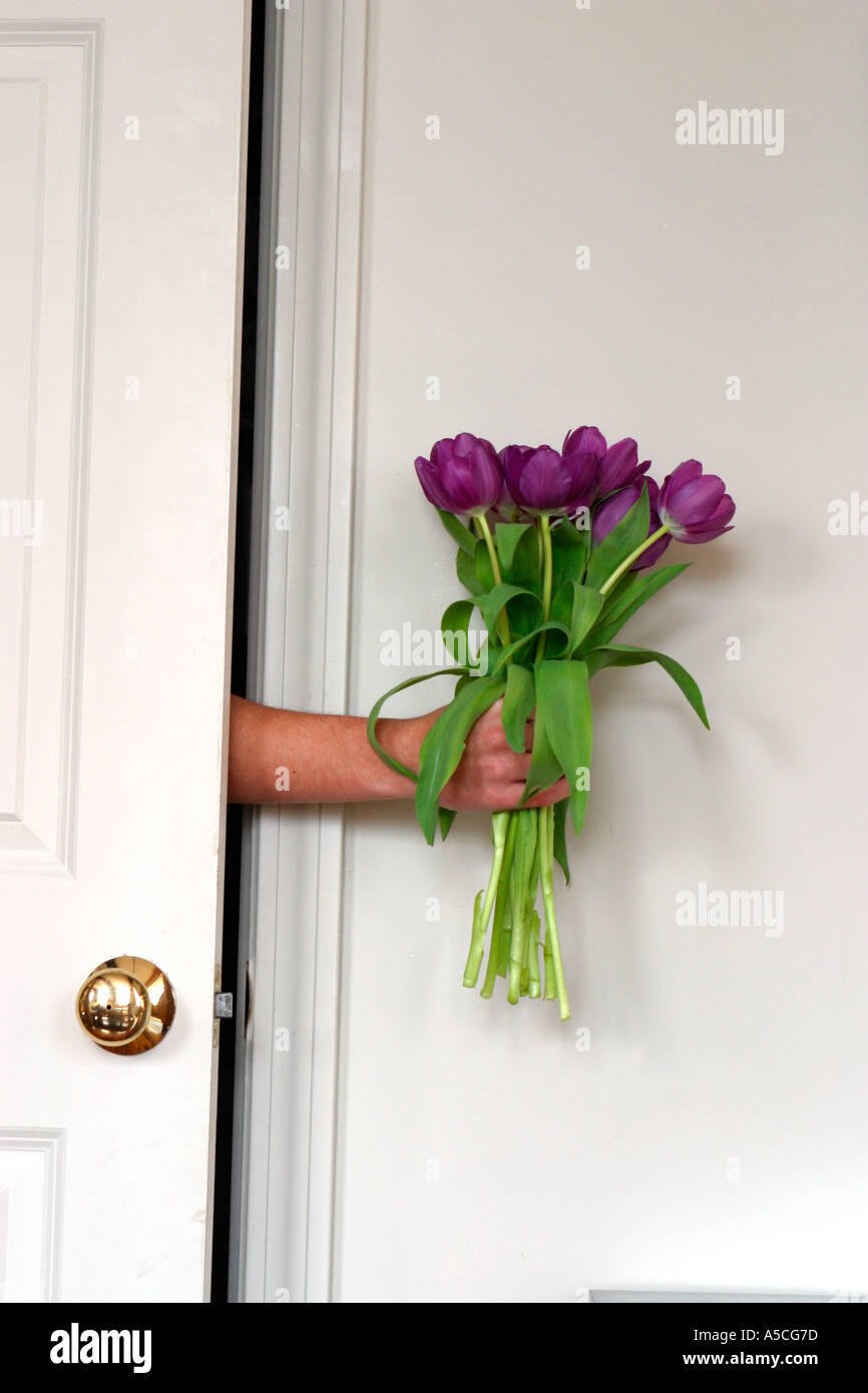 Fiori per voi i tulipani Tulipa Foto Stock