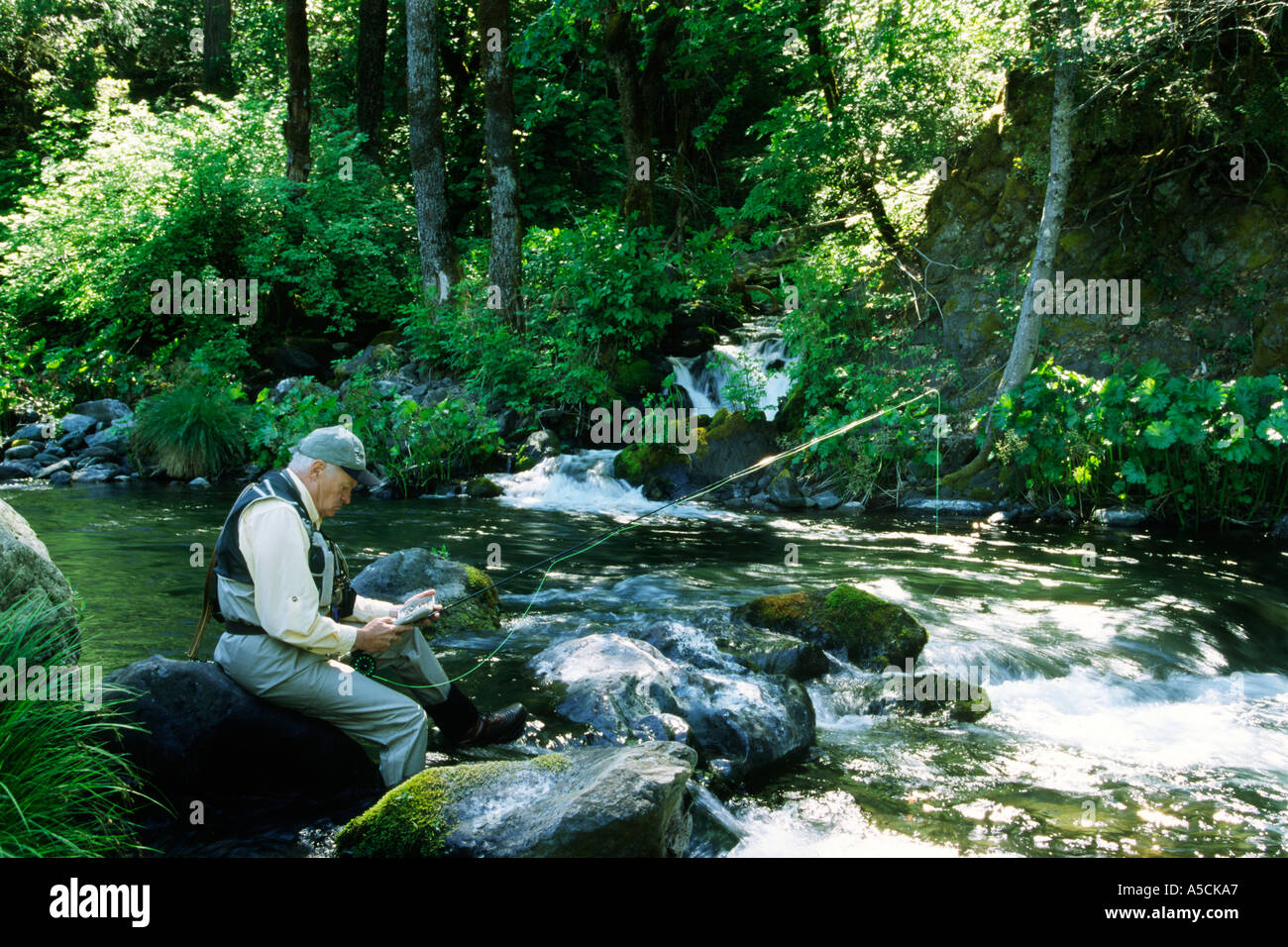 Fly fisherman selezionando modello fly immagine rilasciata Foto Stock