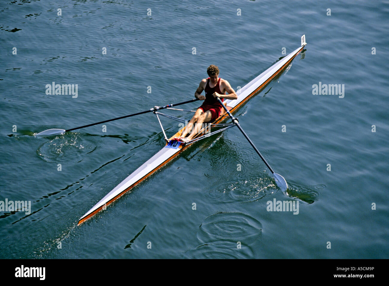 Singolo skiff canottaggio in gara sul fiume Neckar Heidelberg Germania Foto  stock - Alamy