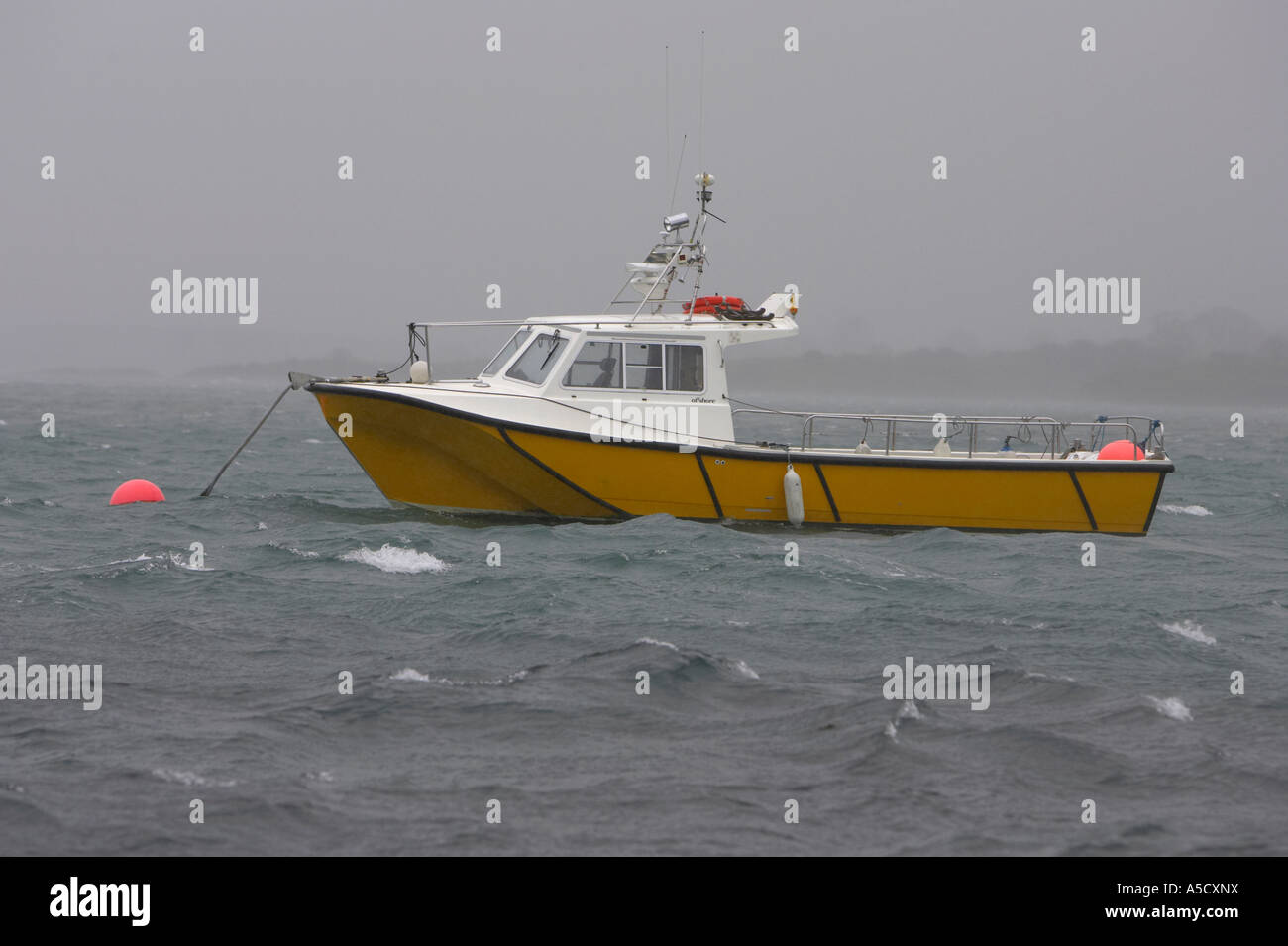 Barca da pesca da diporto ormeggiate ad un pennarello arancione boa in mare mosso su un giorno di tempesta Portaferry contea di Down Foto Stock