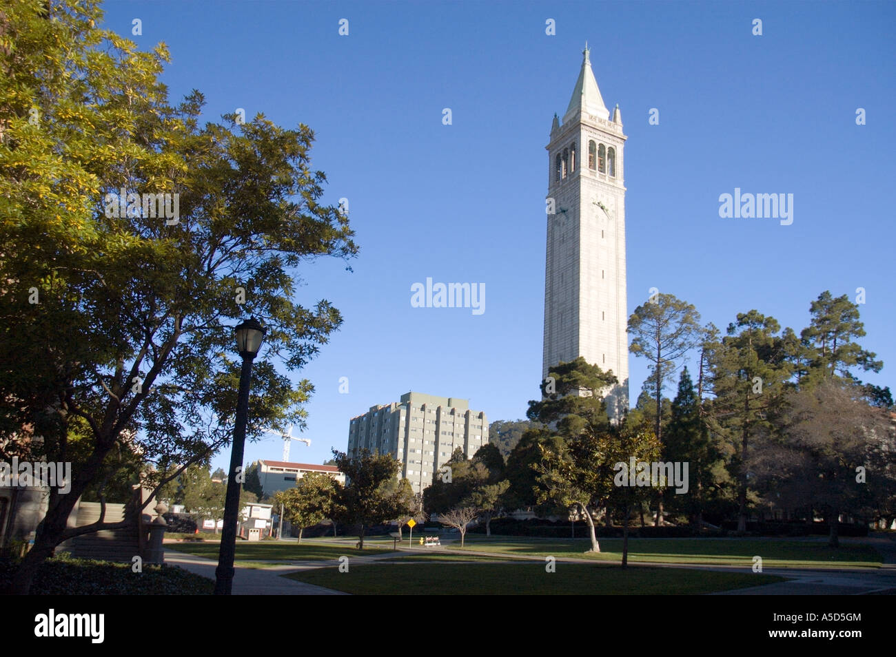 Sather tower, noto anche come il Campanile, Università di California a Berkeley campus Foto Stock