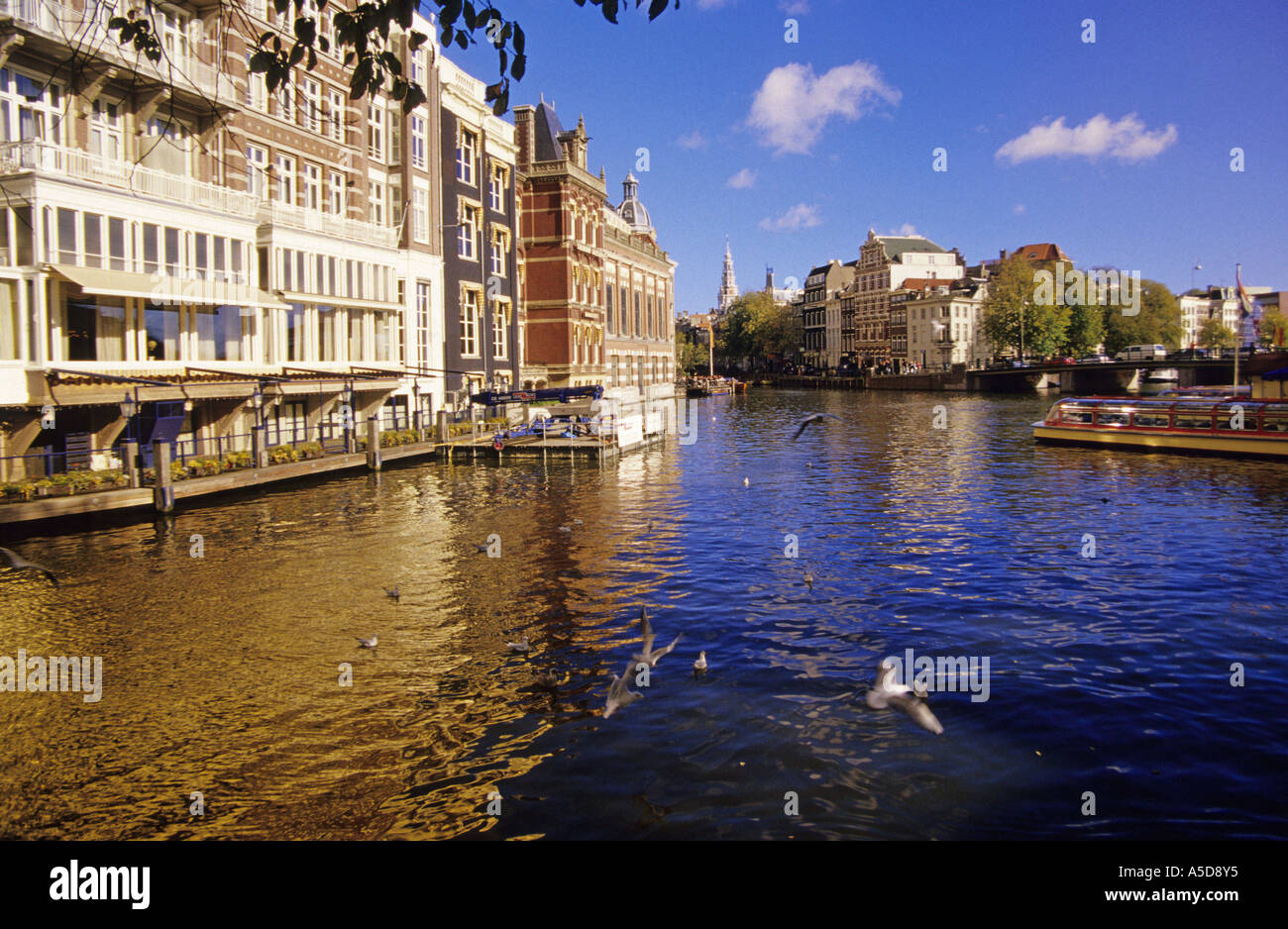 Binnenamstel, Amsterdam, Paesi Bassi Foto Stock