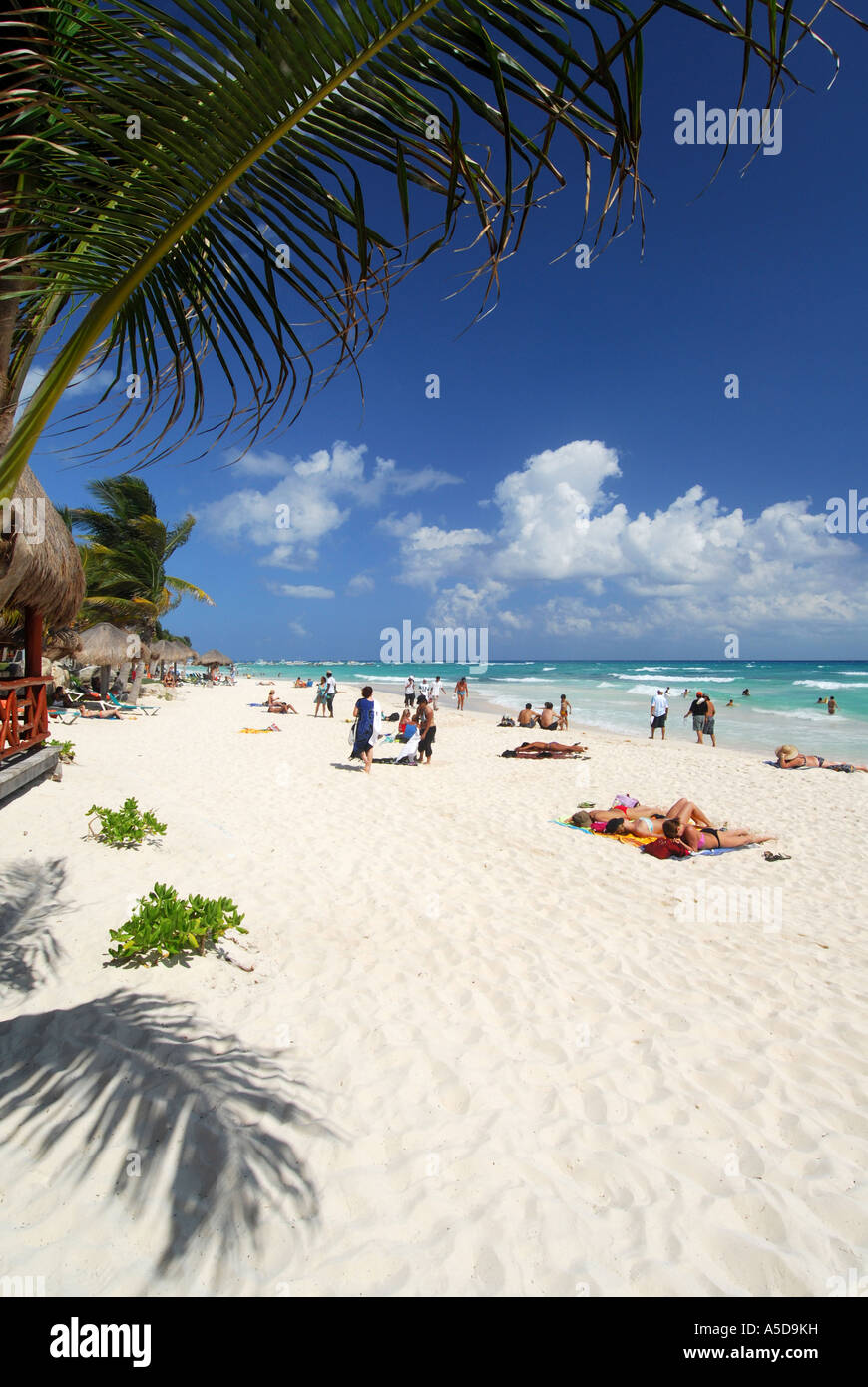 Spiaggia di Playa del Carmen della penisola dello Yucatan in Messico Foto Stock