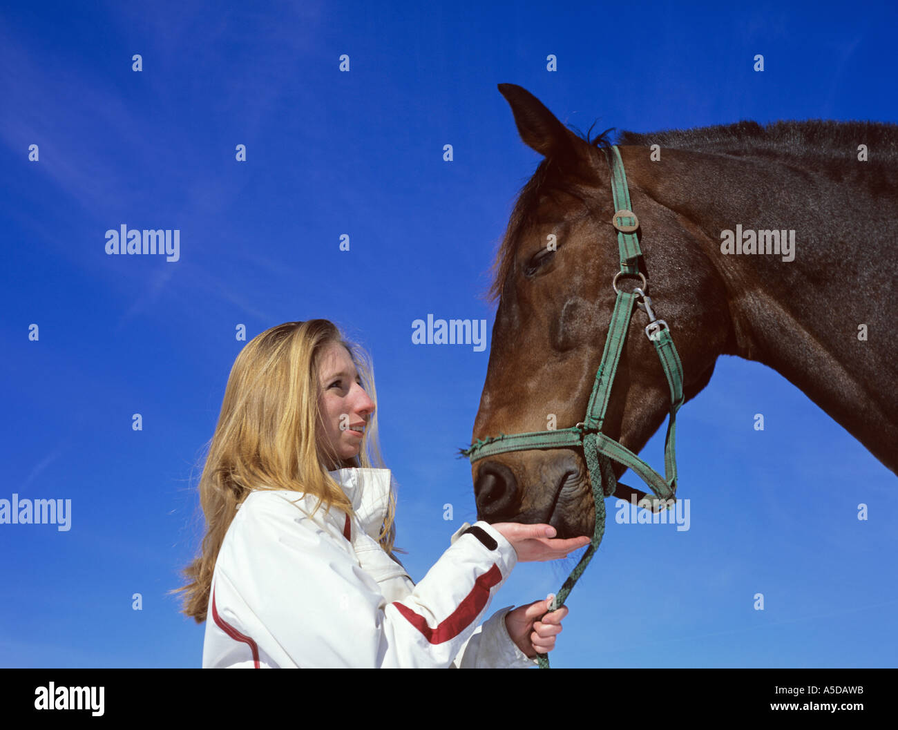 La donna e il suo cavallo Foto Stock