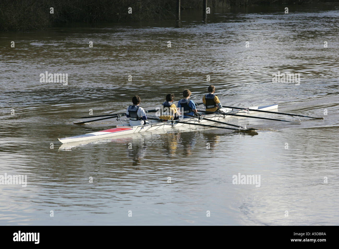 Il team di canottaggio in azione sul fiume Severn, a Upton su Severn, Worcestershire Foto Stock