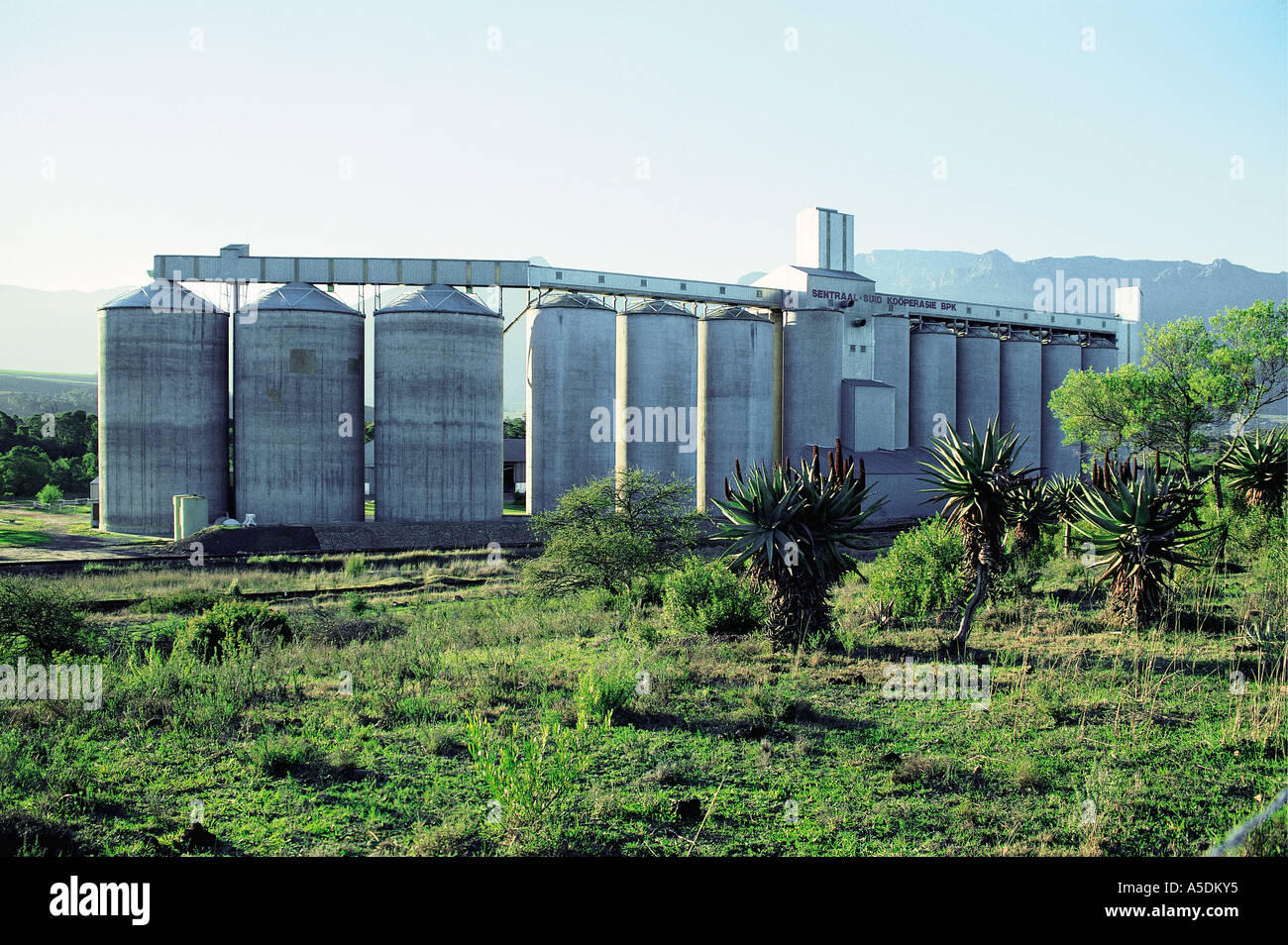 Silos per il grano di Sentraal Suid Kooperasie BPK nel paese collinoso di Langeberge Provincia del Capo Sud Africa Foto Stock