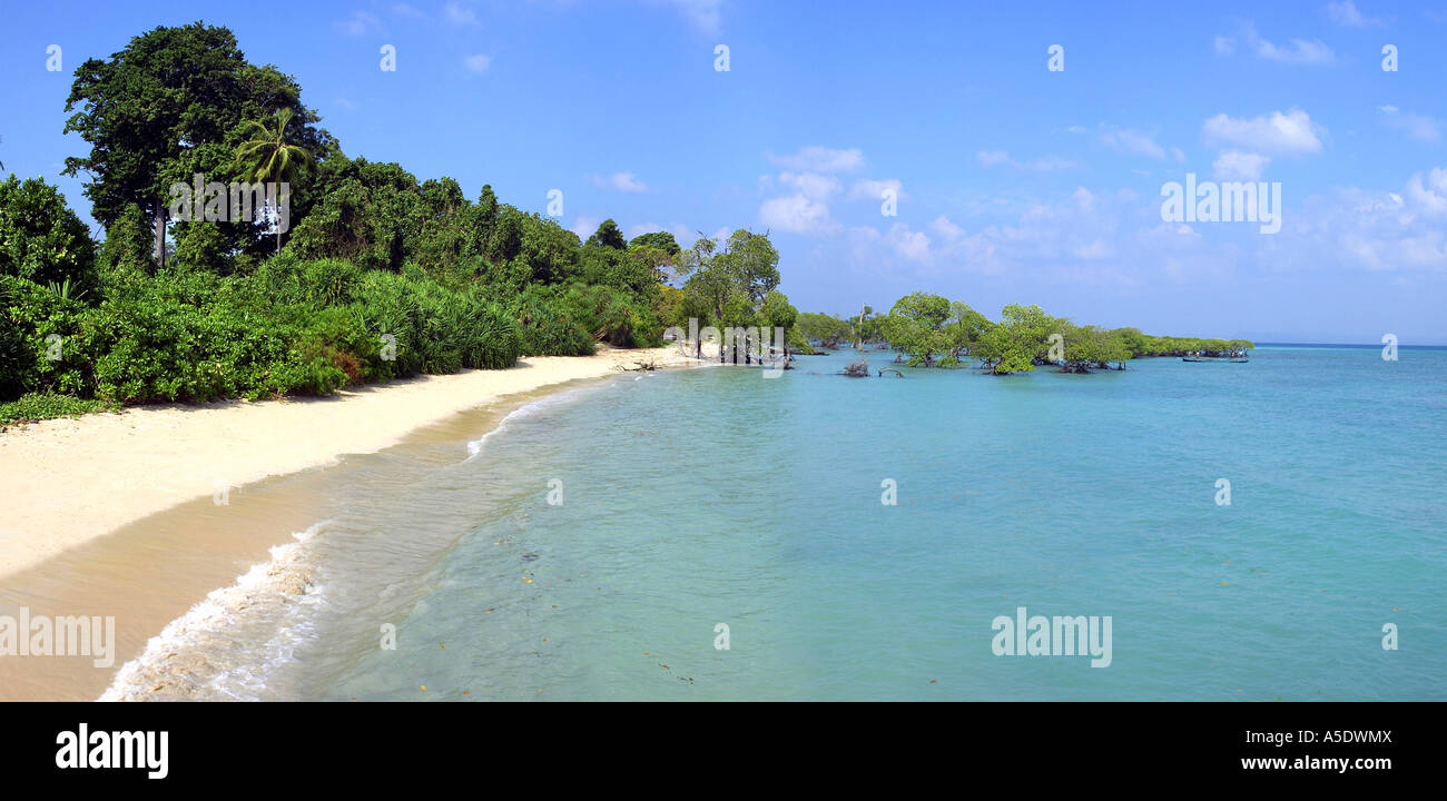 India Isole Andamane Neil Island Neil Kendra panoramica spiaggia Foto Stock