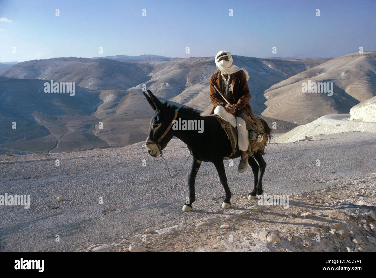 L'agricoltore palestinese su Donkey nella regione di montagna della West Bank Israele ora coperto con israeliano degli insediamenti illegali Foto Stock