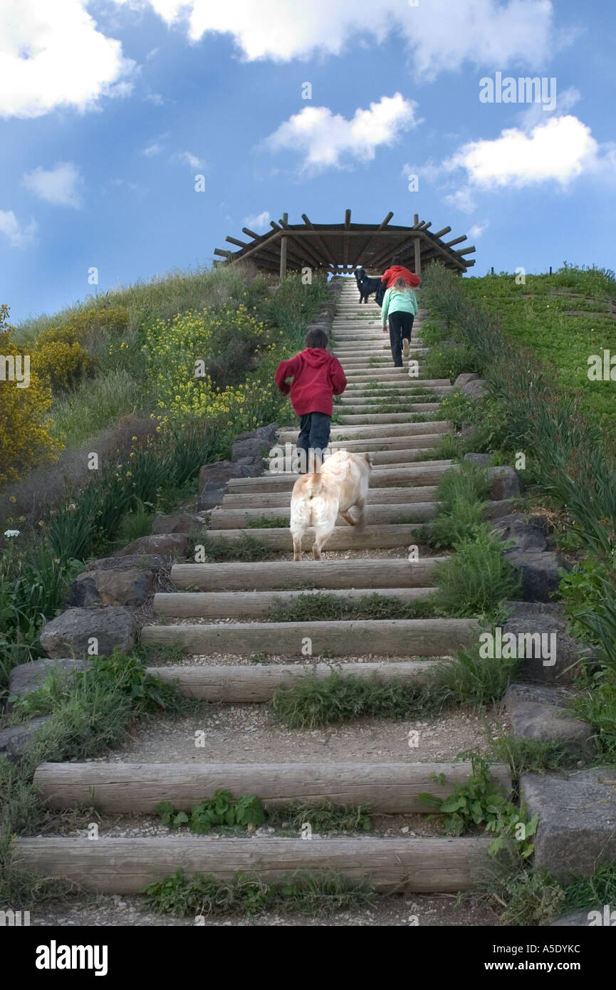 Scala verso il cielo - bambini e un cane corre su scala esterna Foto Stock