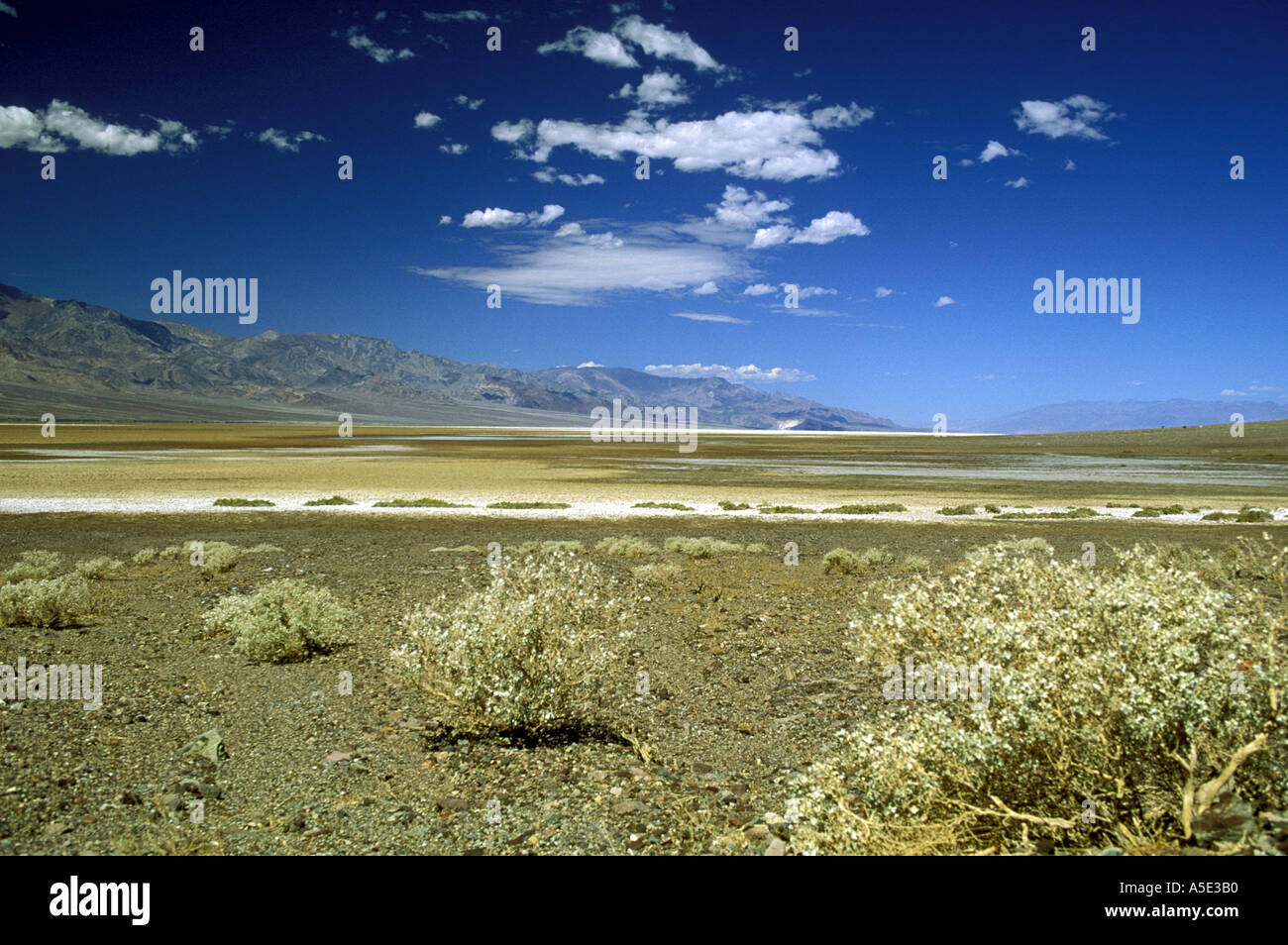 Piano del Parco Nazionale della Valle della Morte California USA Foto Stock