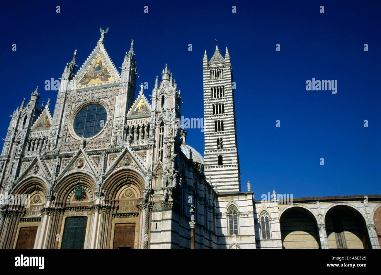 Ornate ed esterno decorativo del Duomo di Siena, Siena, Italia. Foto Stock