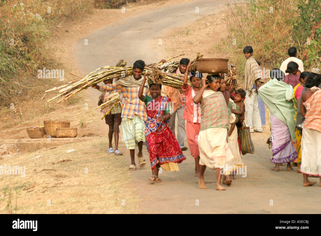 Dongria Kondh le donne che trasportano carichi pesanti sul loro modo al settimanale mercato di baratto ,Orissa,l'India. Foto Stock