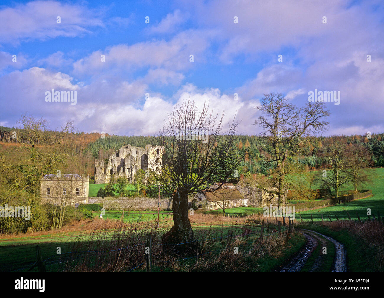 Il vecchio castello Wardour Wiltshire date dal 1392 Wiltshire Foto Stock