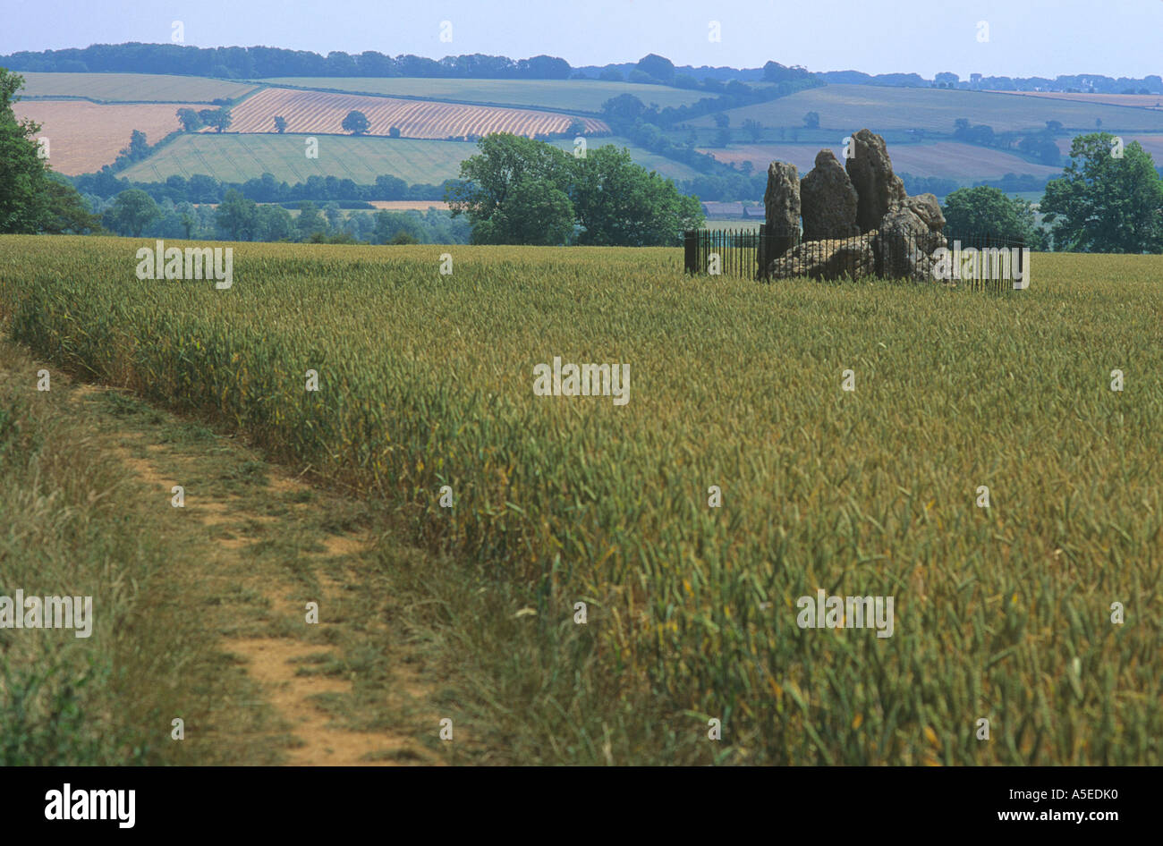 Whispering Cavalieri un gruppo di pietre in piedi in un campo nei pressi di Rollright Stones Oxfordshire Foto Stock